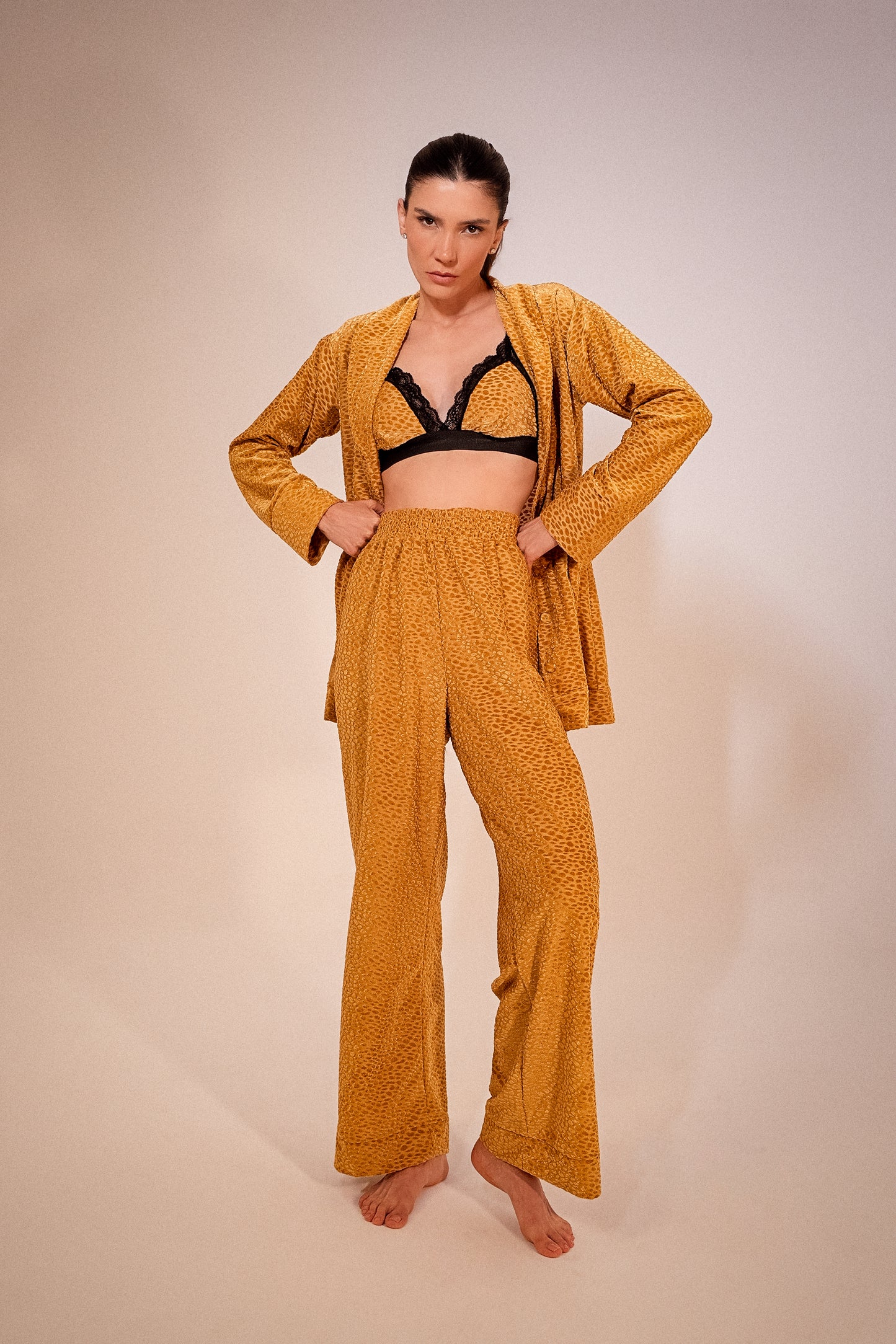 Conjunto Veludo Jacard